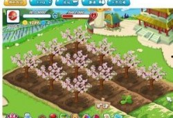 开心肉品农场爆料视频,独家爆料带你探秘农场养殖全过程